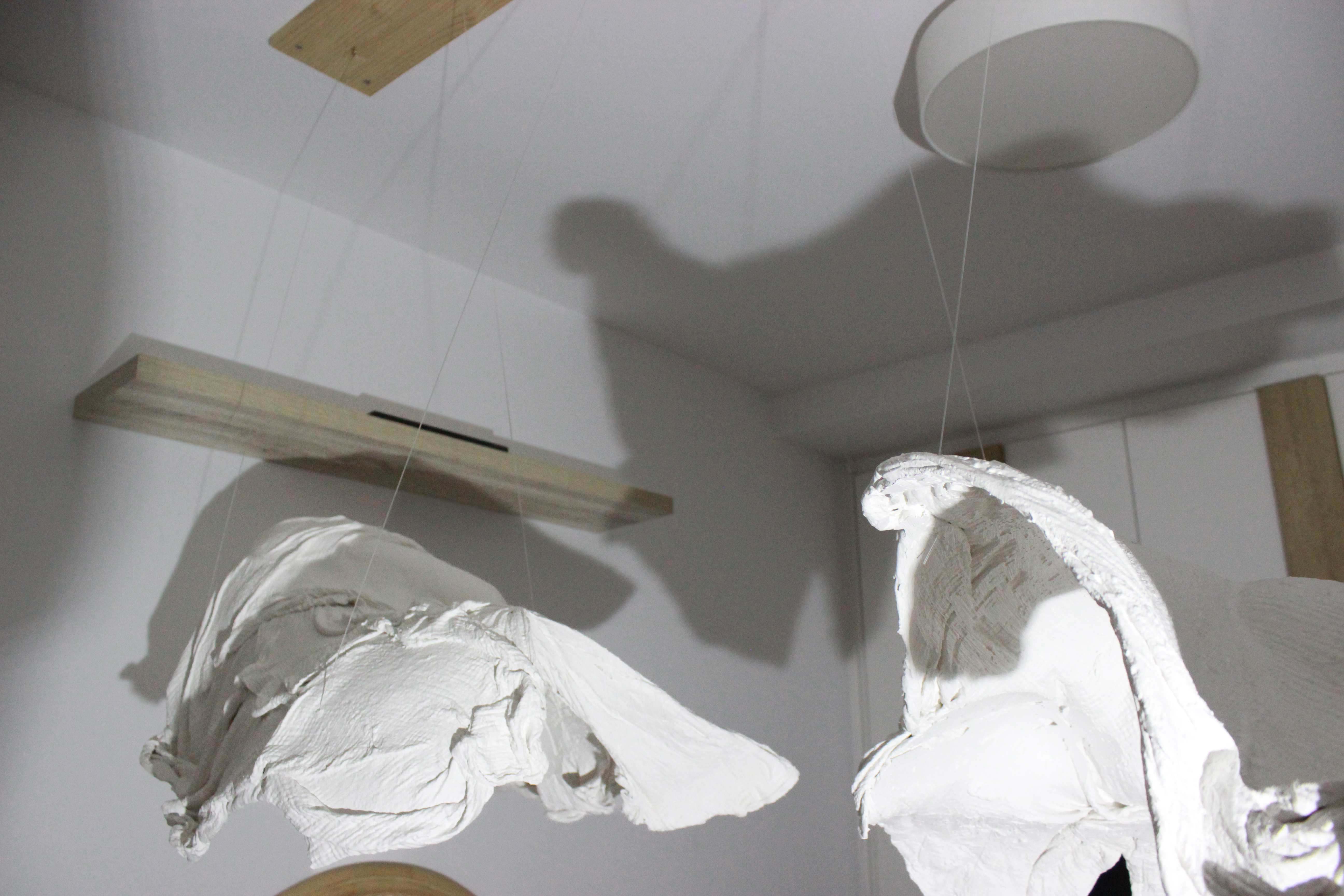 Perspectiva 4